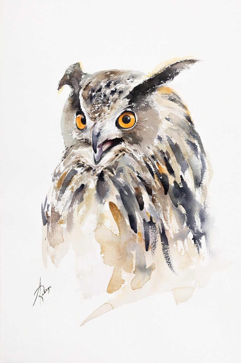 Eurasian Eagle-owl by Andrzej Rabiega