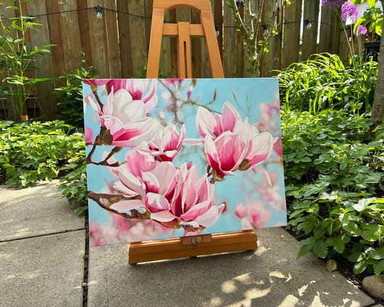 Magnolia Flowers