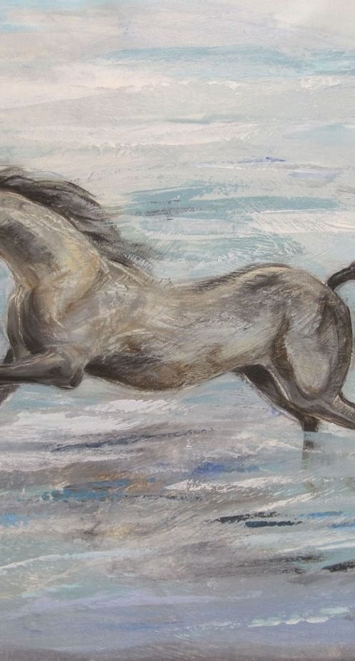 Horse by the Sea by Silvia Vassileva