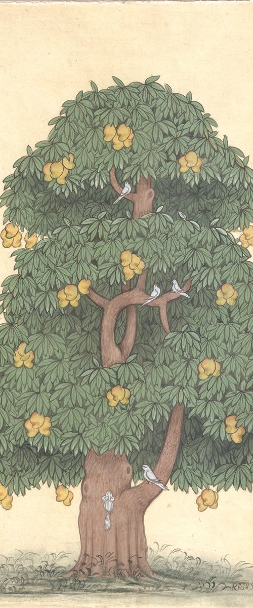 Royal Mango Tree | Original Miniature Art by Mukesh Swami