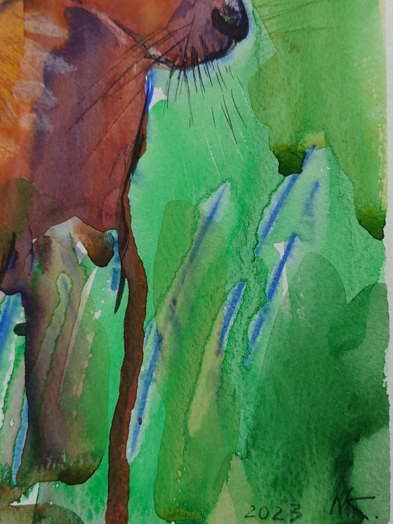 Alert in the Meadow