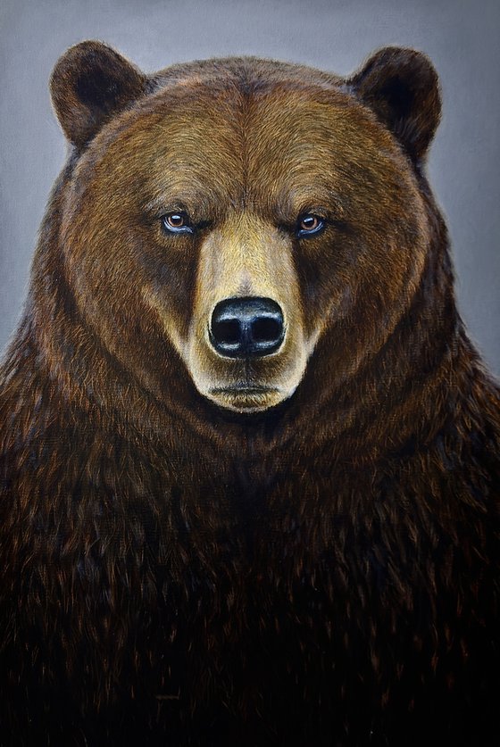 Grizzly Bear