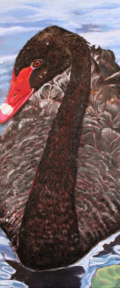 Black Swan by Zoe Elizabeth Norman