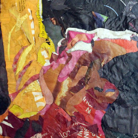 FREDDIE COLLAGE (NP).