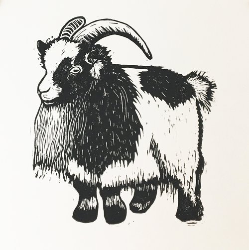 Goat by Sarah May Strand