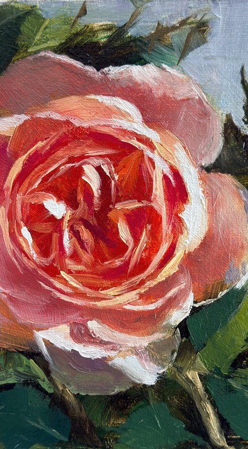 Radiant Bloom by Ling Strube