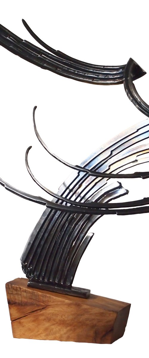 "Zephyr" by Stevlin Yovchev