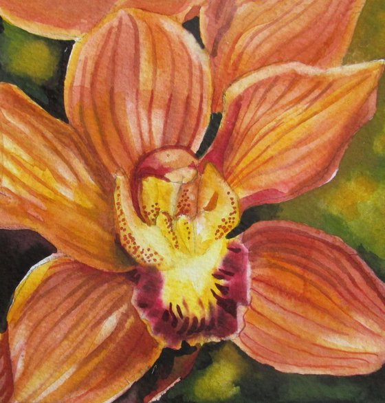a painting a day #45 "coral orchid"