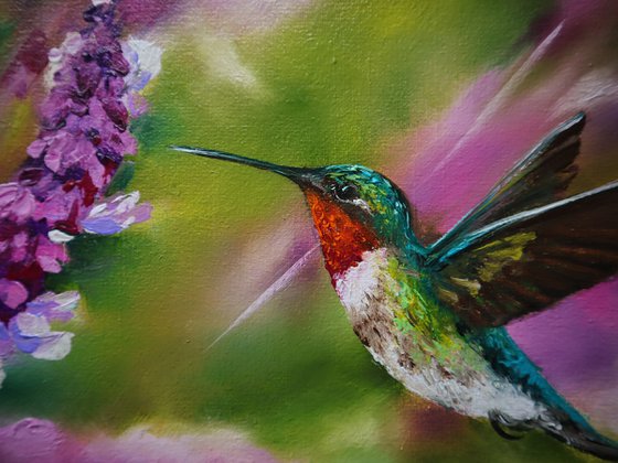 Ruby Throated Hummingbird, Bird and Purple flowers