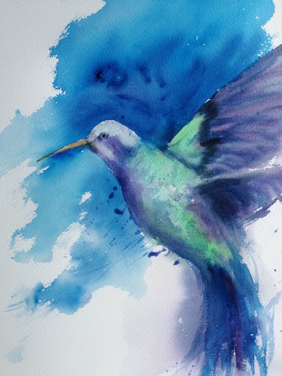 colibrì