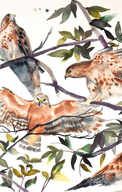 Red-Tailed Hawks by Elizabeth Becker