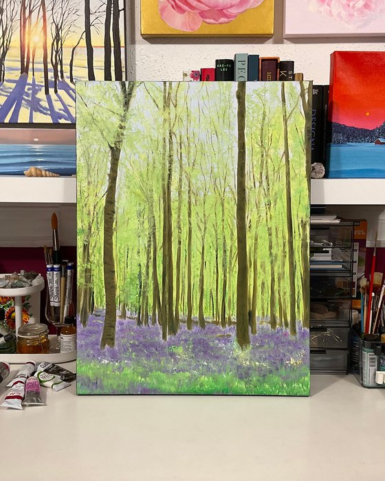 Bluebell Woods
