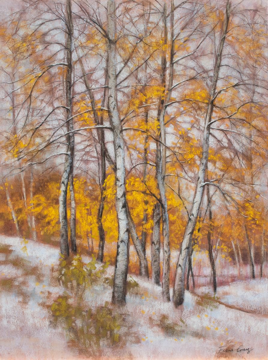 Birches in First Snow, 3 by Fiona Craig