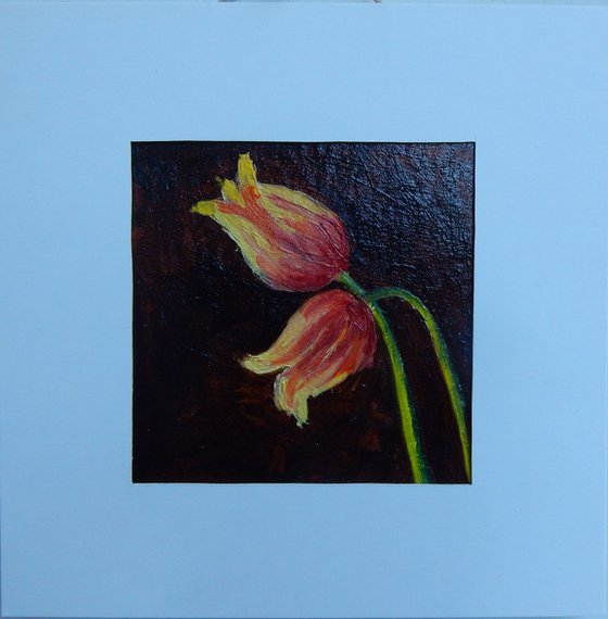 Tulips on brown.