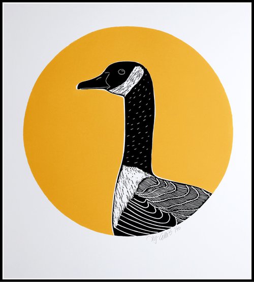 Canada goose by Mariann Johansen-Ellis