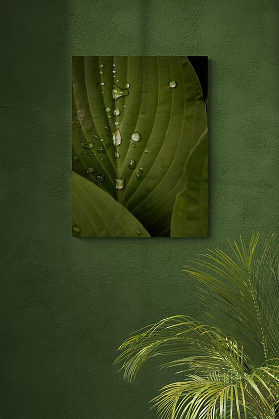 After Rain