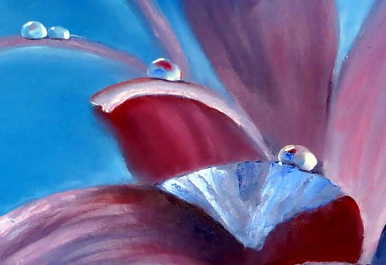 Purple flower with water drops