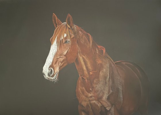 The Chestnut Horse