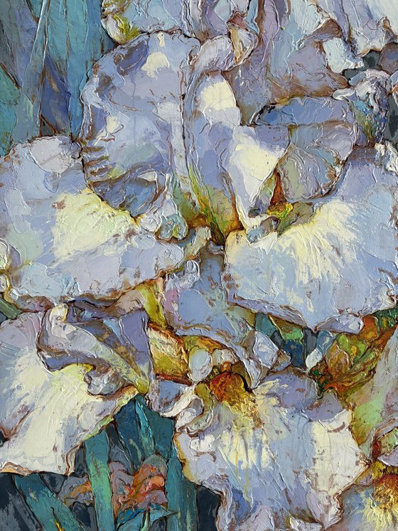 Irises ( for Malcolm)