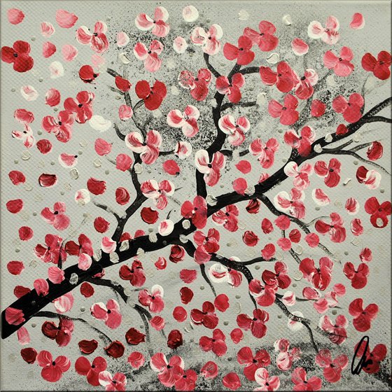 Cherry Blooming