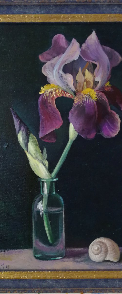 “Still life with Iris” by Anna Silabrama