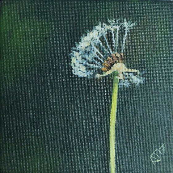 Wishing on a Dandelion, Miniature painting Framed and Ready to Hang