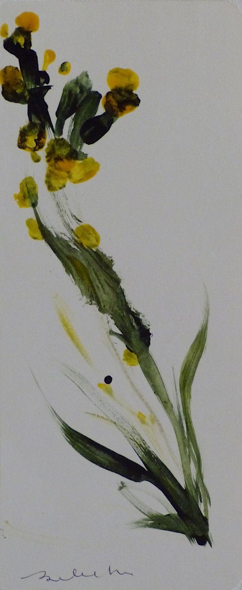 Exquisite Flowers 4, 25x11 cm by Frederic Belaubre