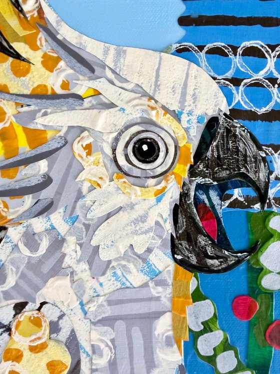 Cockatoo and Banksias Bird Collage Painting