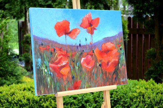 Coral Poppies