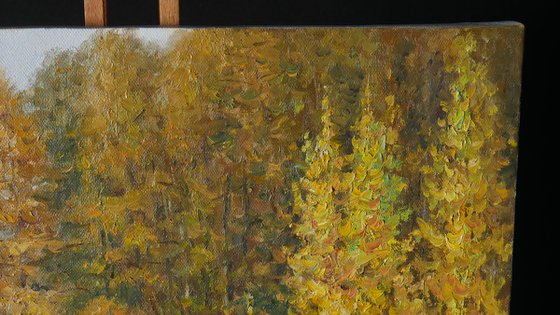 The Autumn Forest - autumn landscape painting