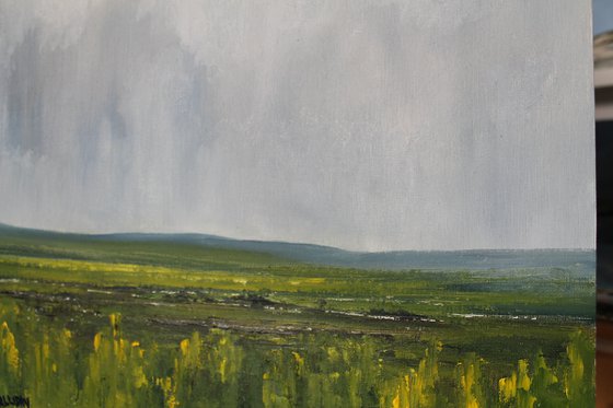 Across the wetlands, Irish landscape