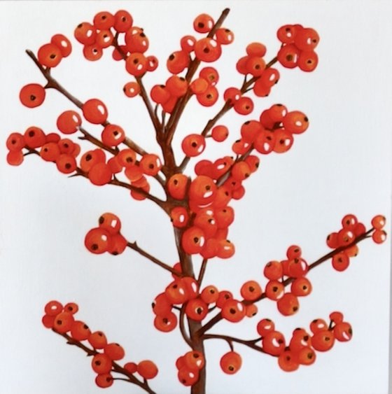 Winterberry