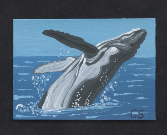 ACEO ATC Original Miniature Painting Humpback Whale Marine Wildlife Art-Carla Smale