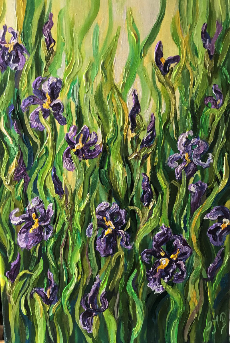 Irises no 2 by Colette Baumback