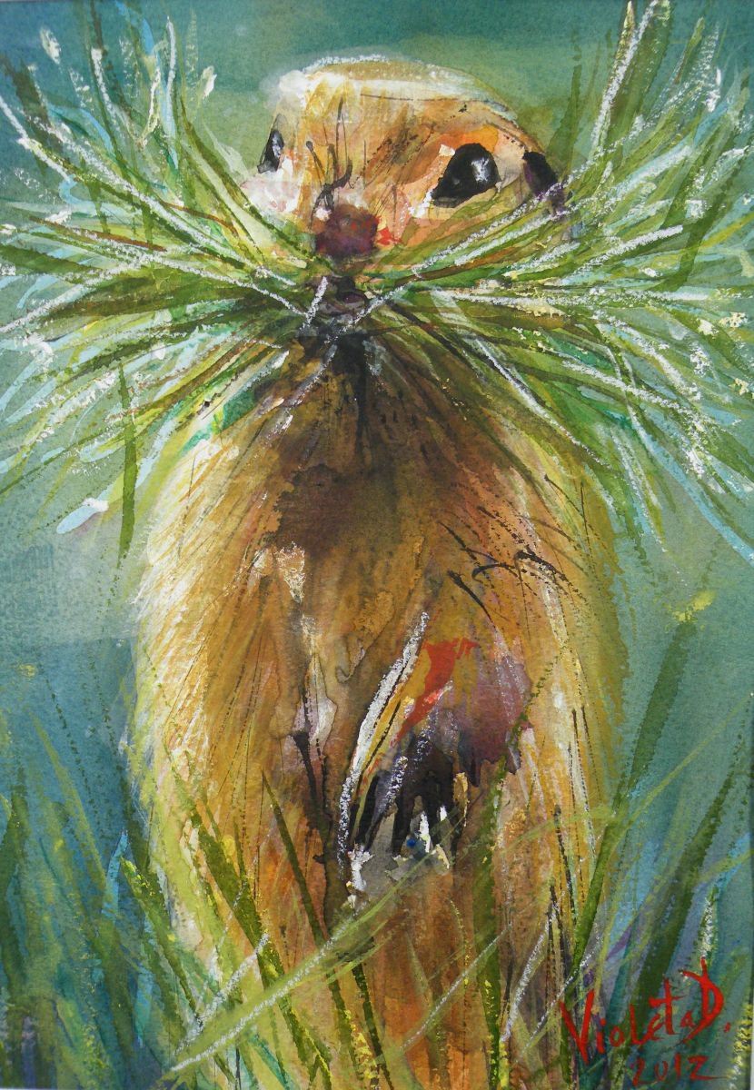The Groundhog I (Marmota monax) by Violeta Damjanovic-Behrendt