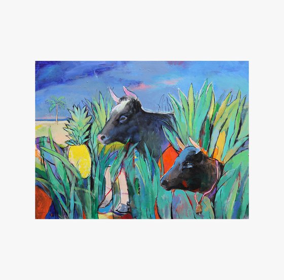 Cows Looking for Pineapples