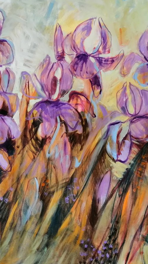 My irises by Olga David