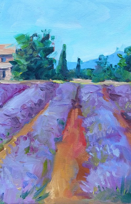 French Lavender Fields by Ann Krasikova