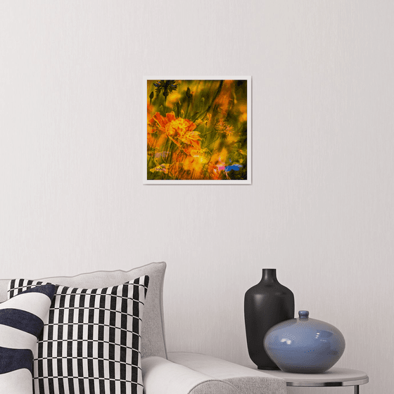 Summer Meadows #2. Limited Edition 1/25 12x12 inch Abstract Photographic Print.