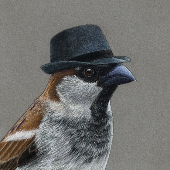 Original pastel drawing bird "House sparrow"