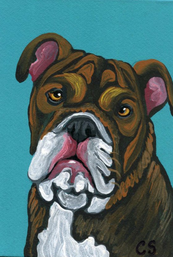 ACEO ATC Original Miniature Painting Olde English Bulldogge Pet Dog Art-Carla Smale