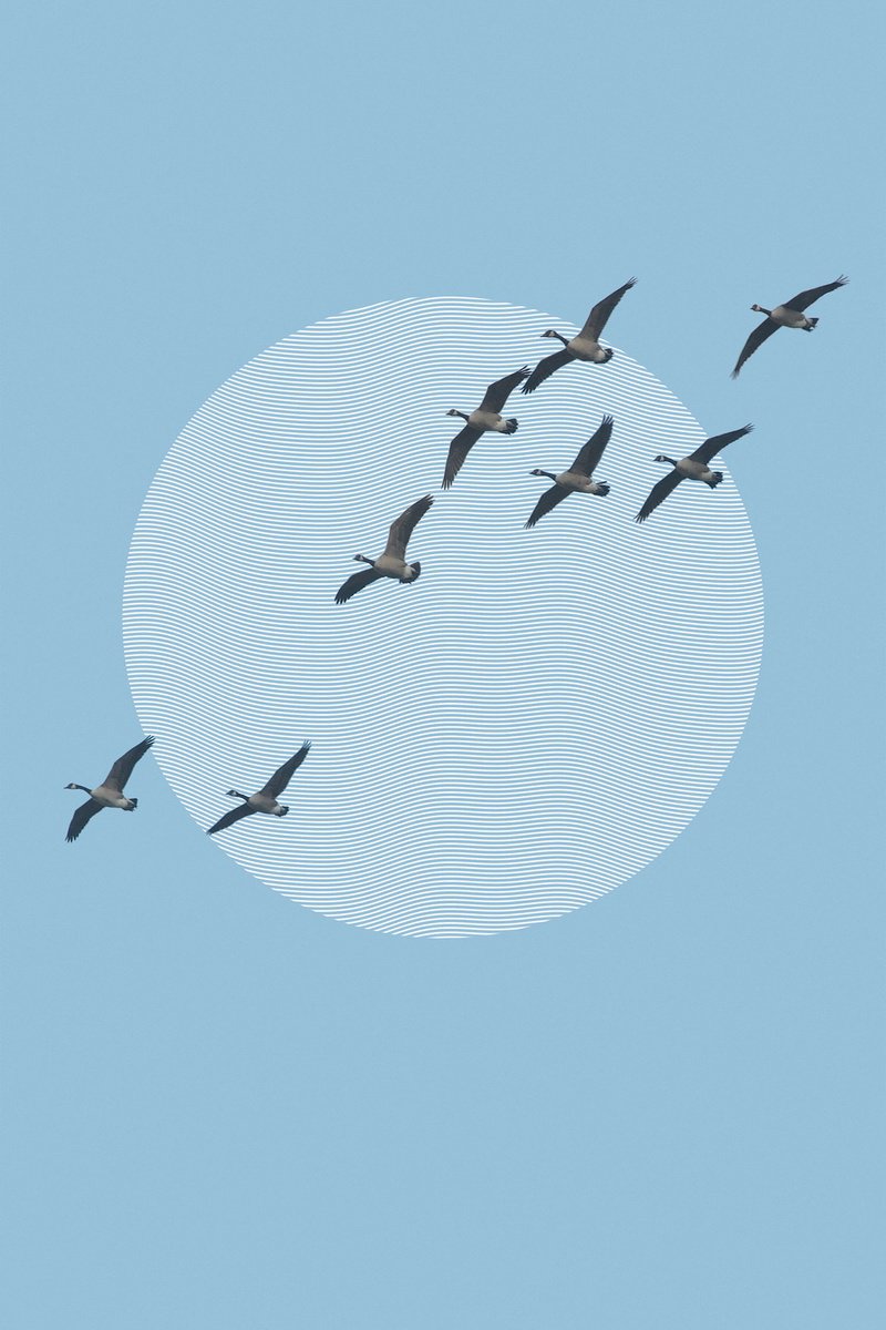 Surrealistic Landscape Photograph By Journey Gong, 28 X 42", Migration, Original Artwork