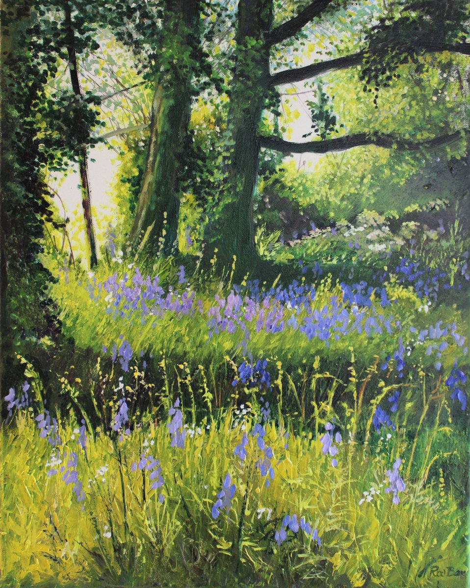 Bluebells Sunlight and Shade by Rod Bere