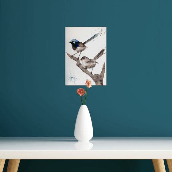 Pair Purple-backed Fairy-wrens