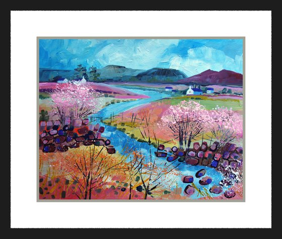 Springtime in the Dales