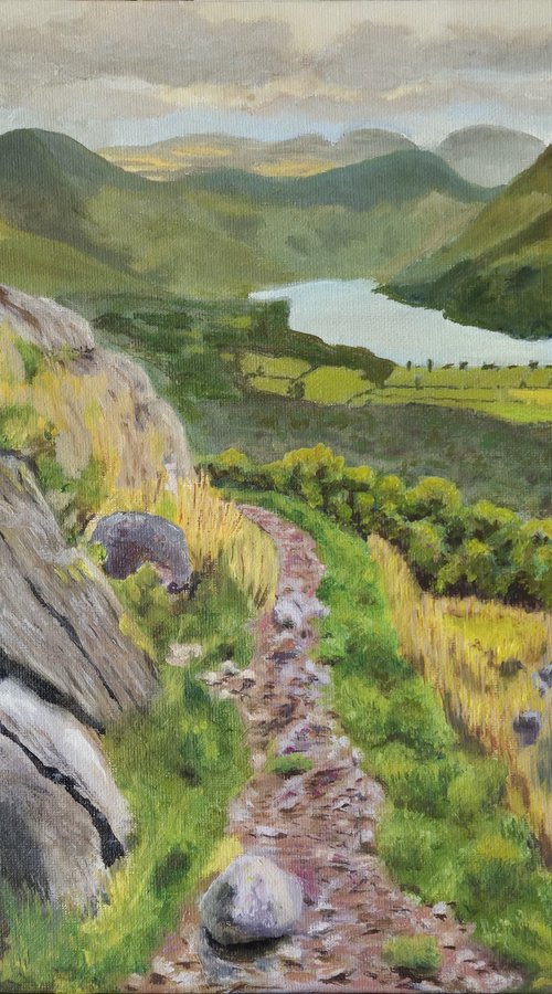 Buttermere Valley: A Lake District Landscape by Chris Marshall