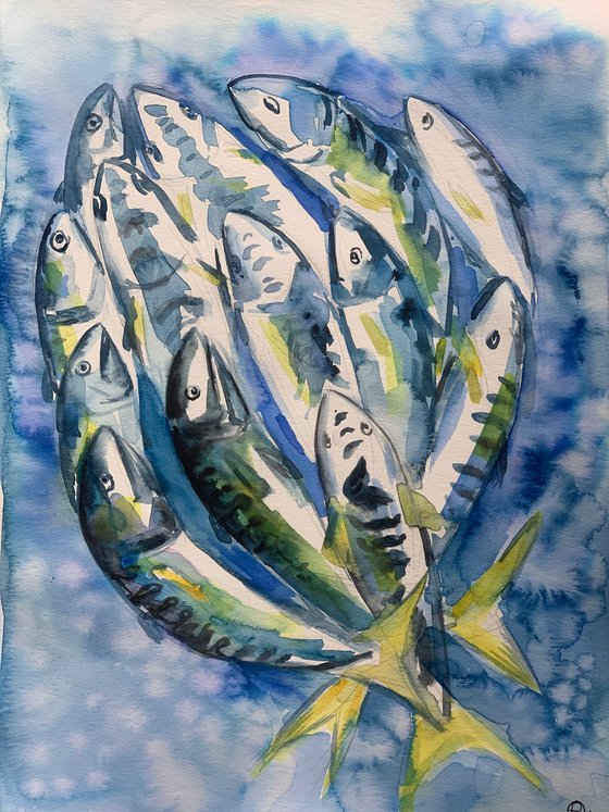 Fish life