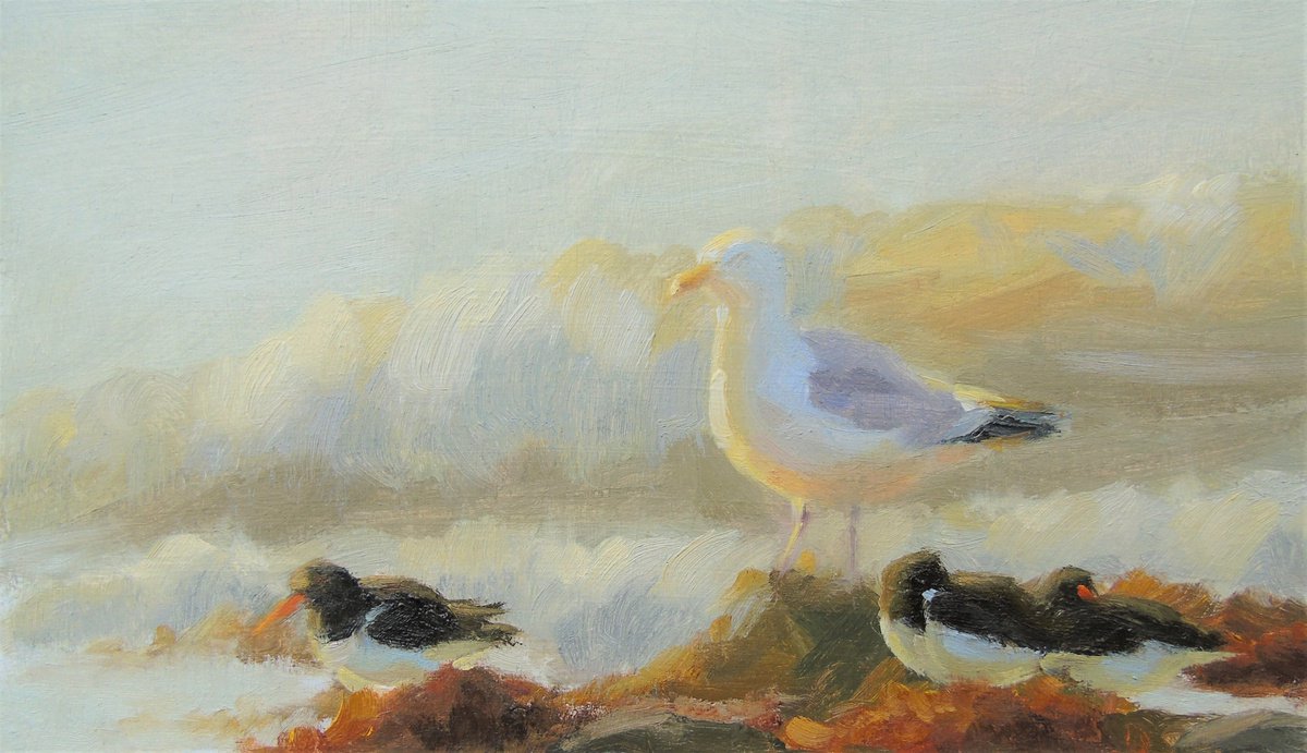 Gull amongst the Oystercatchers by Rebecca Thorley-Fox