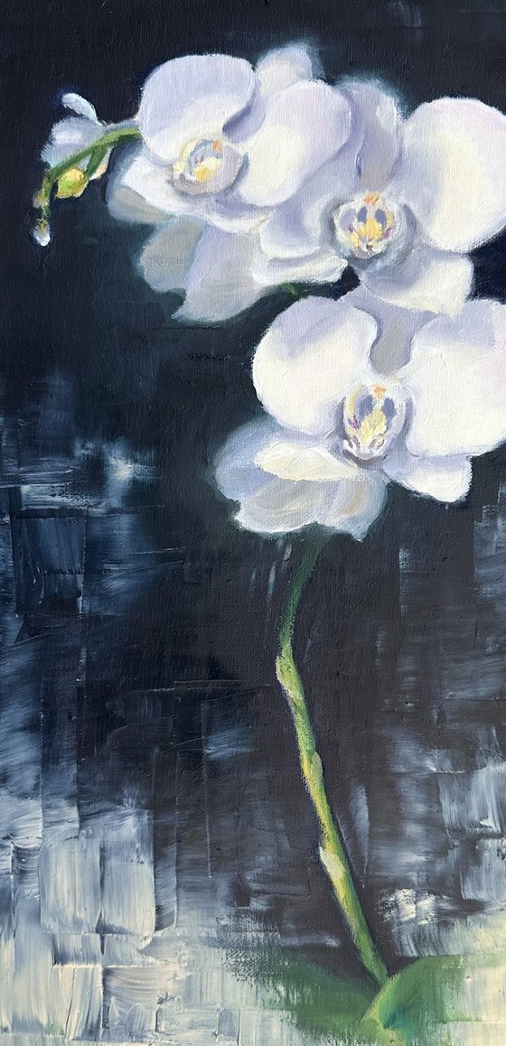 Orchid