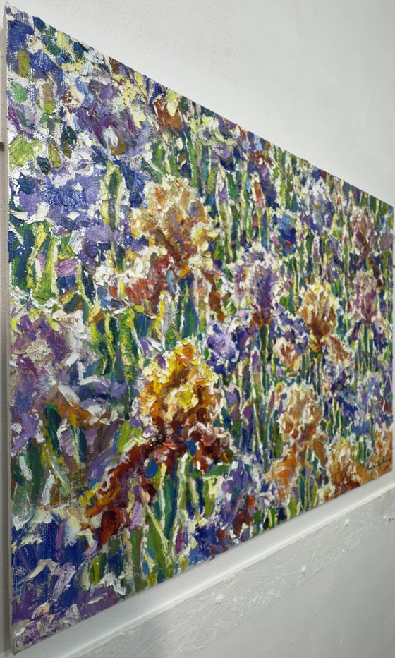 Dance of irises